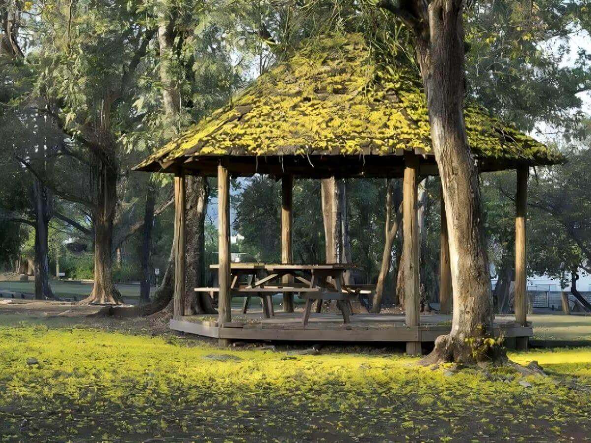 Hope Gardens: A Green Embrace of Nature