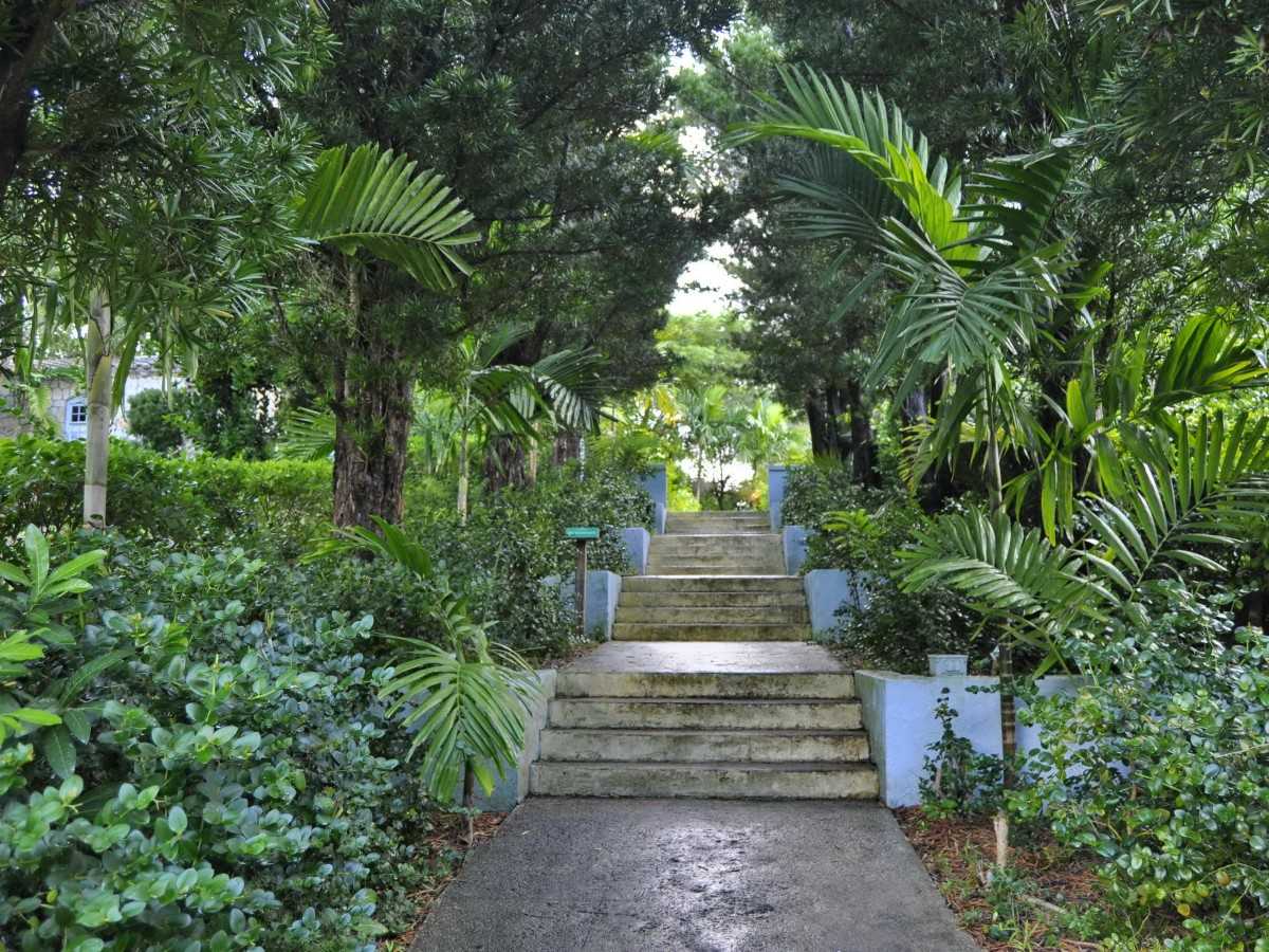 The best way to see Garden of the Groves!