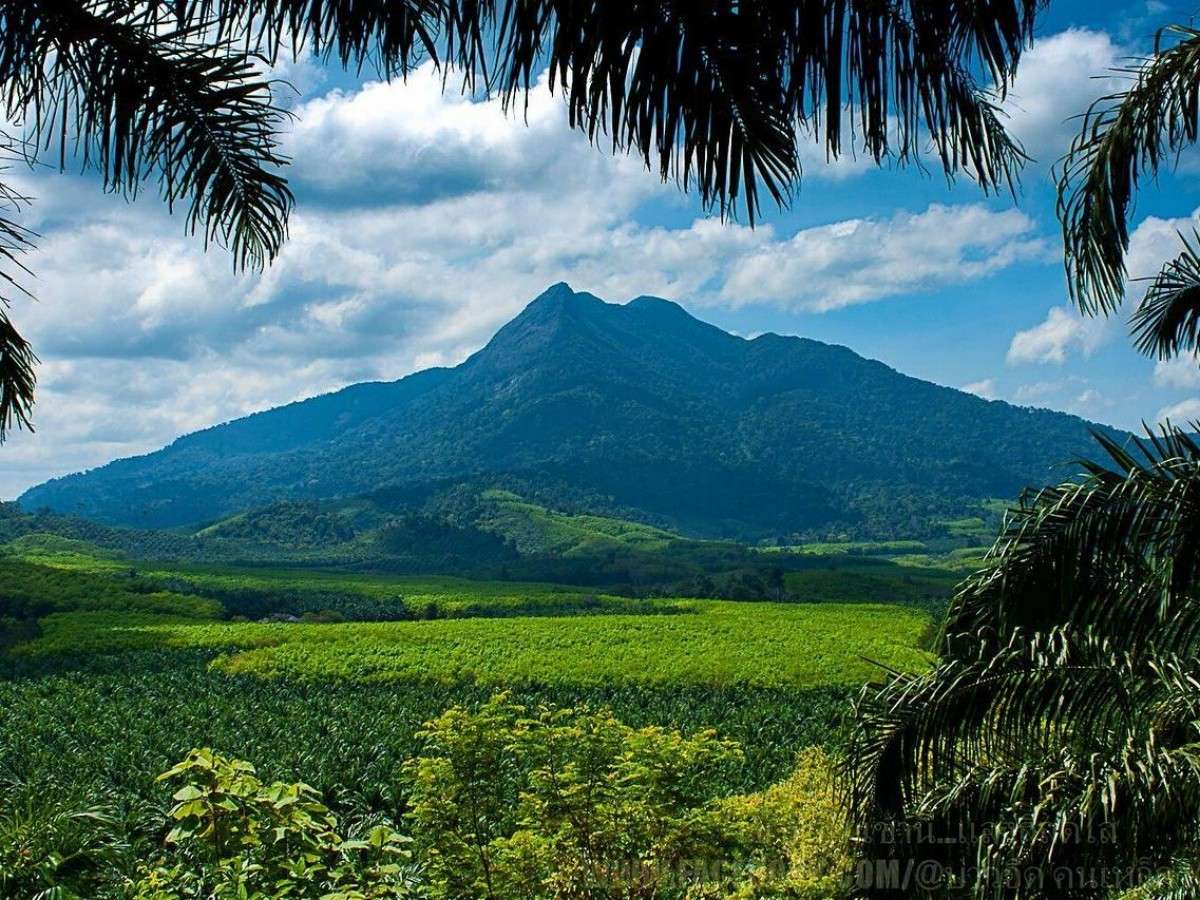Avoid pitfalls with Khao Phanom Bencha: Tickets, transportation, and directions all in one place.