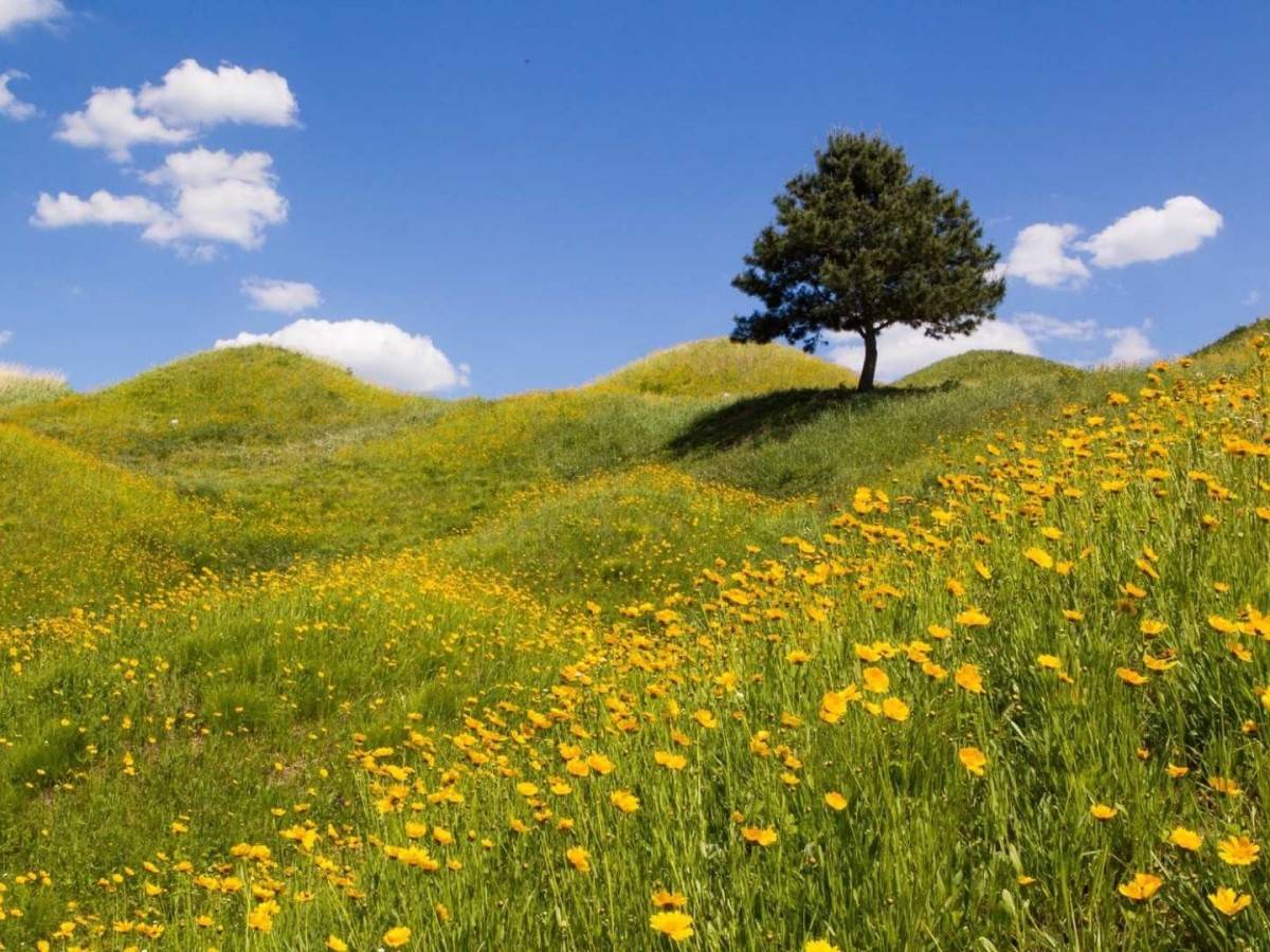 One-day tour to Palgong Mountain!