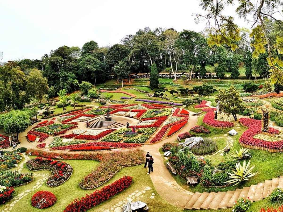 A Secret Garden High in the Mountains of Chiang Rai: Mae Fah Luang Garden Awaits Your Discovery