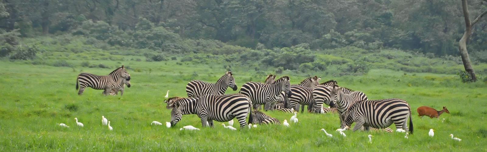 Arusha National Park