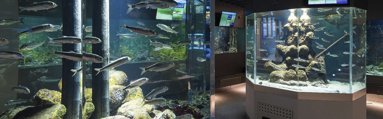 oresund Aquarium