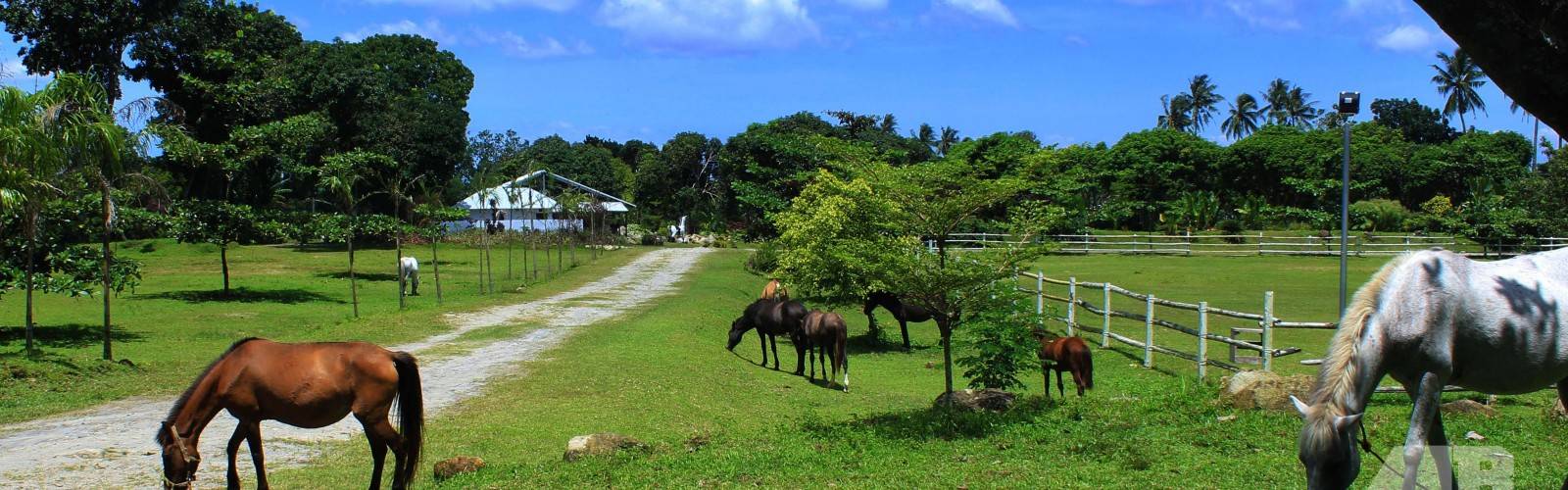 Bantug Lake Ranch