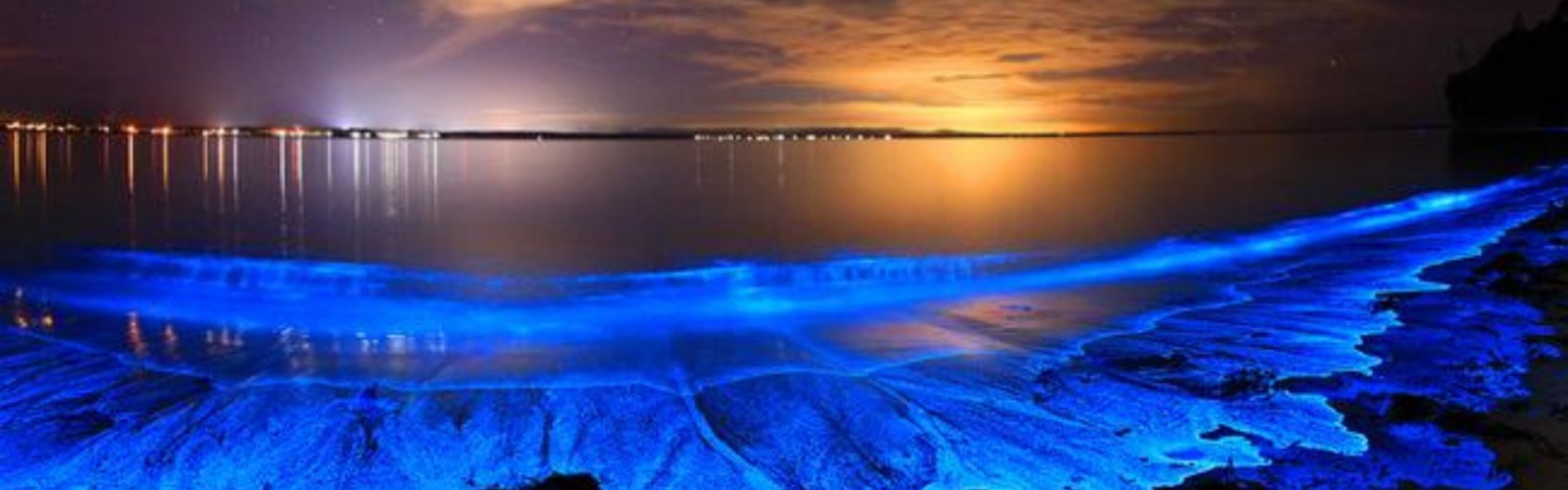 Luminous Lagoon