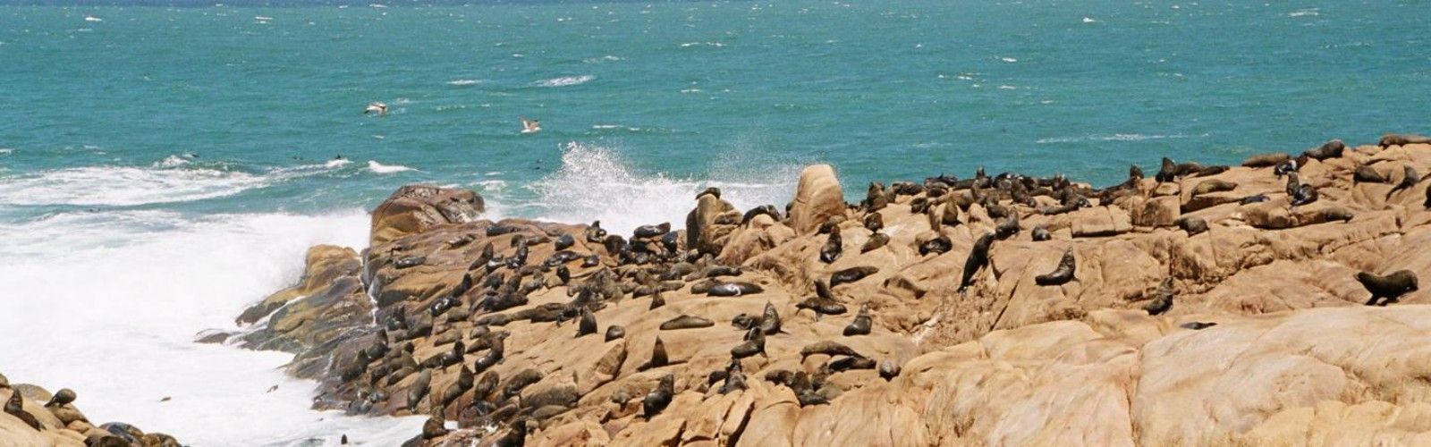 Parque Nacional Cabo Polonio