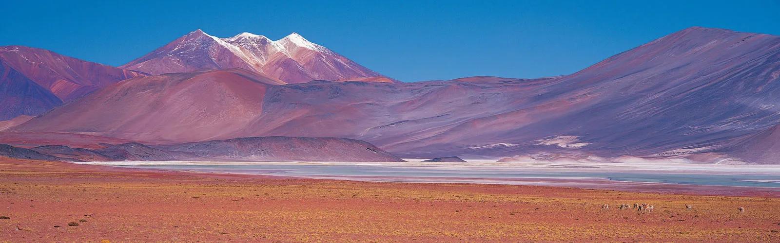 Atacama Desert