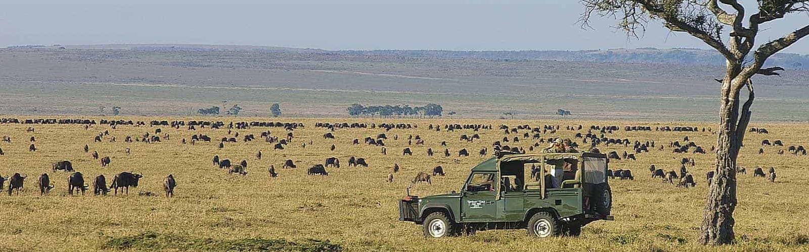 Masai Mara
