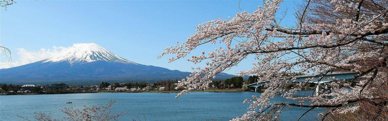 Fuji Five Lakes