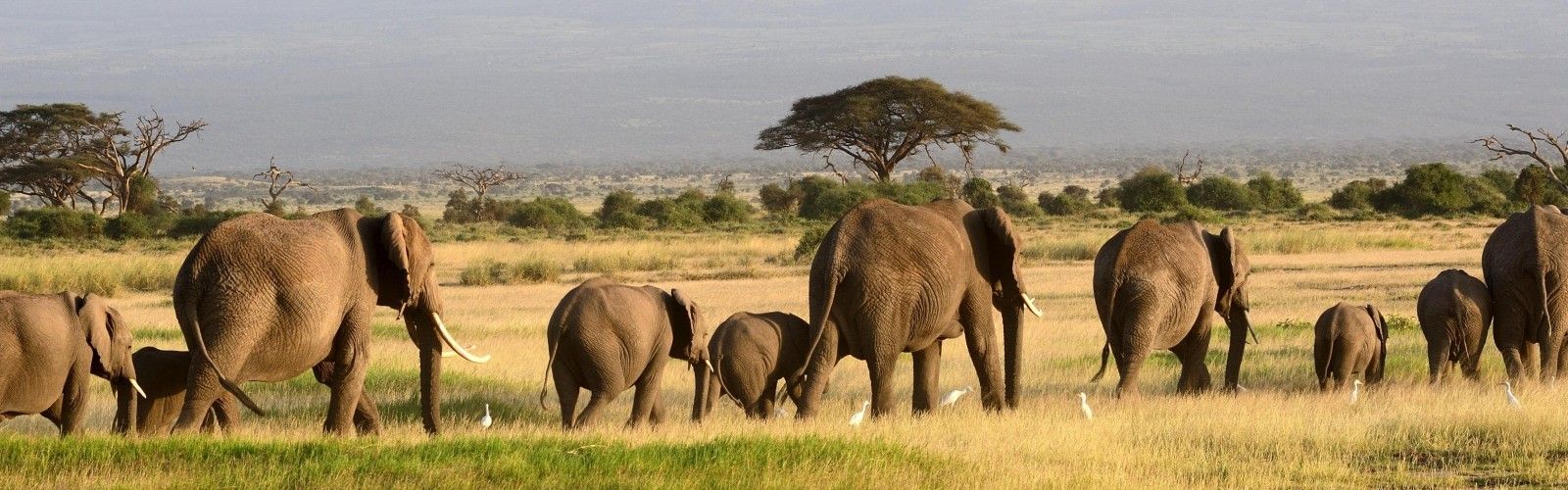 Selous Game Reserve