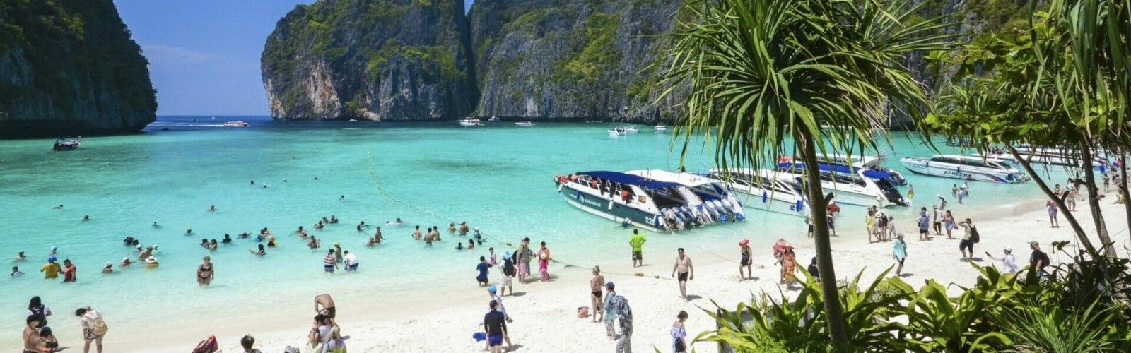 Phi Phi Island