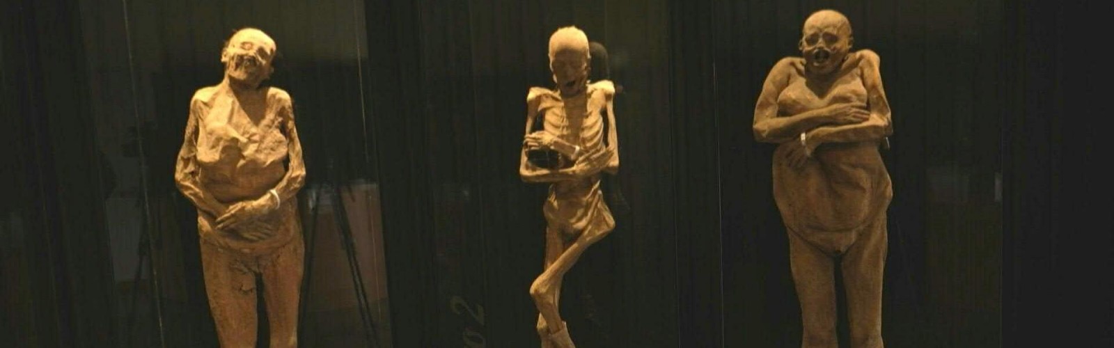 Museum of the Mummies of Guanajuato
