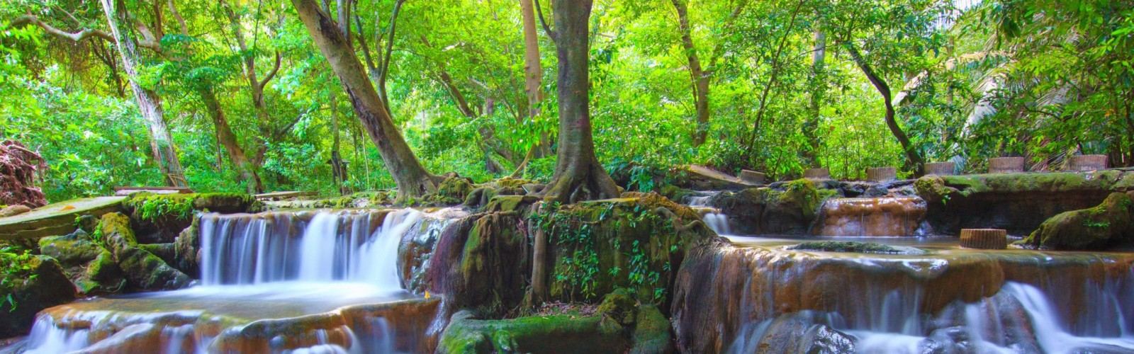 Than Bok Khorani National Park