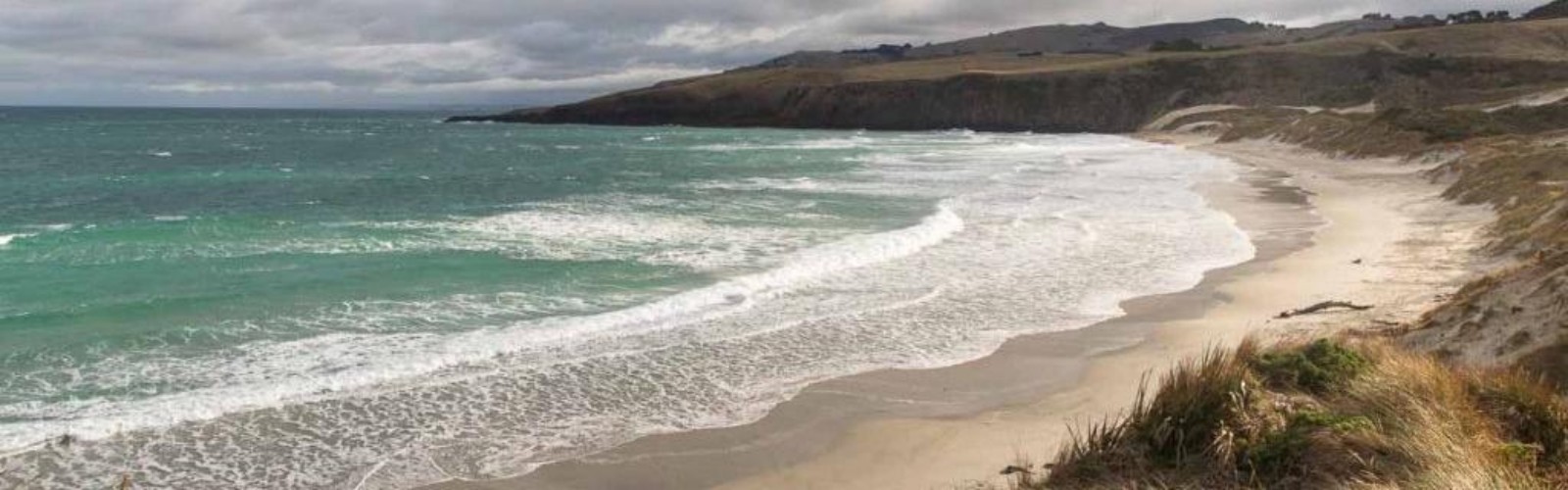 Otago Peninsula
