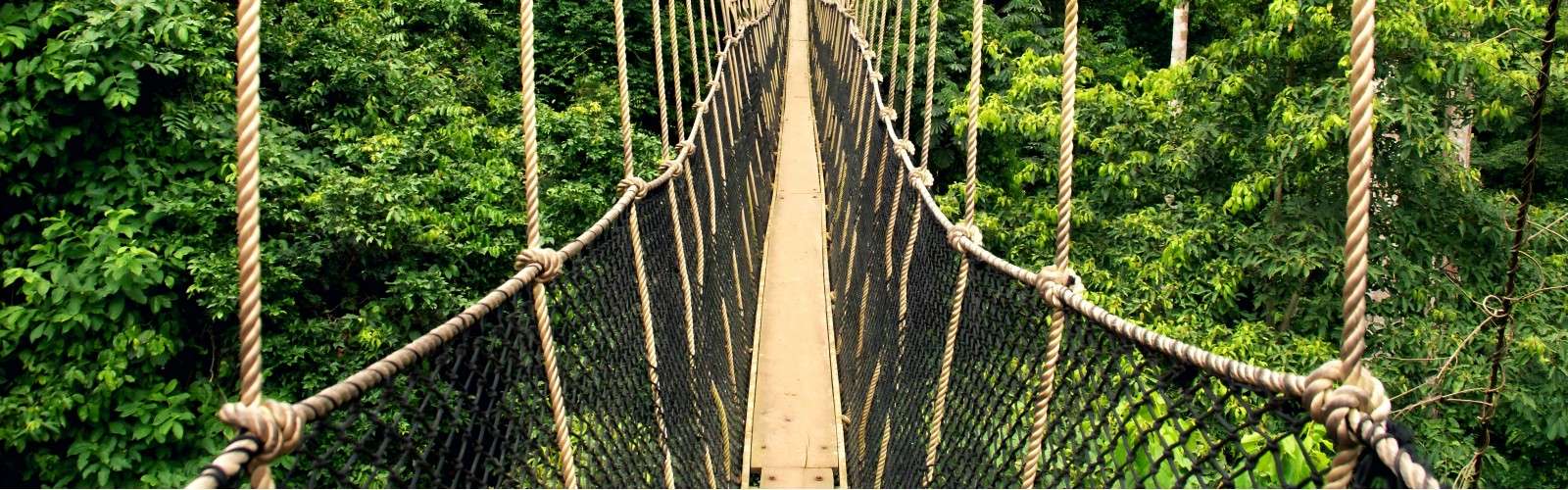 Kakum National Park