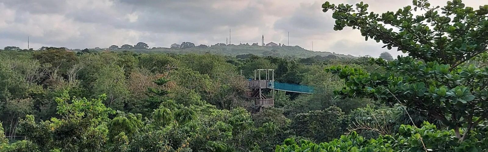 Tigle Forest Reserve