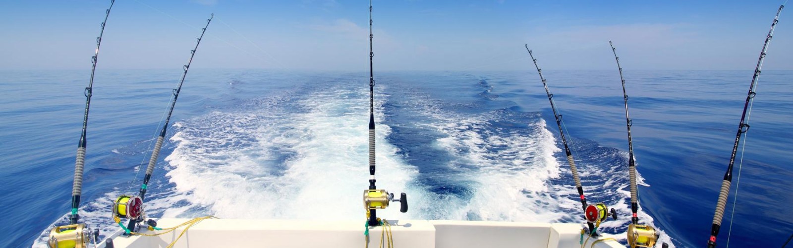 Fishing Tours