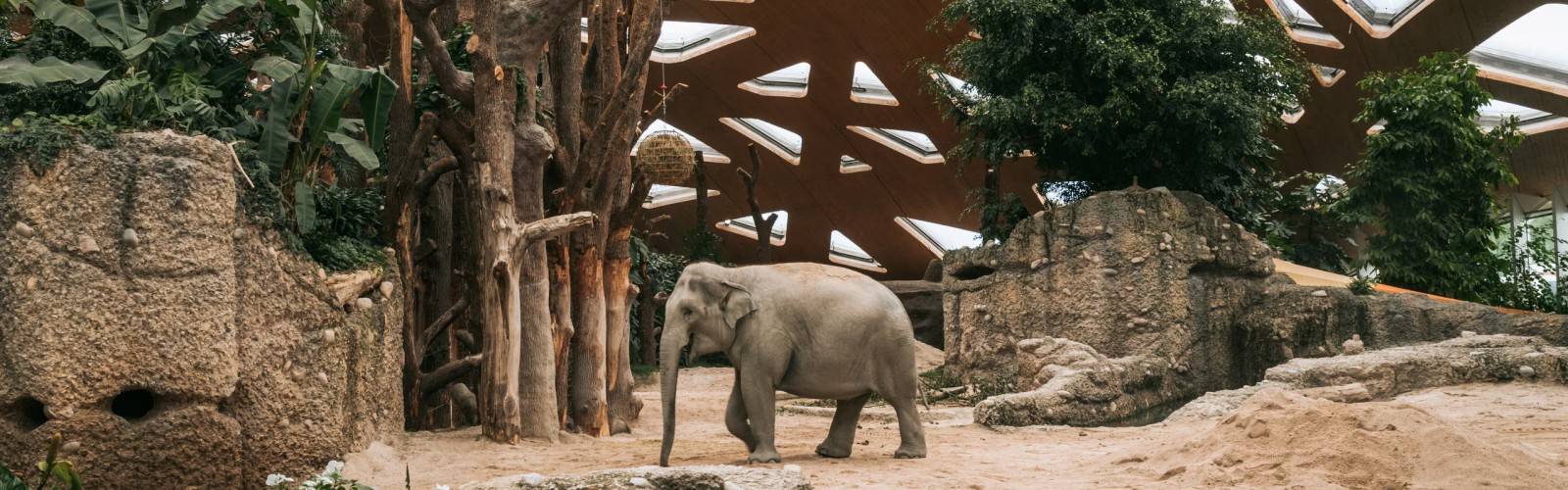 Zoo Zurich