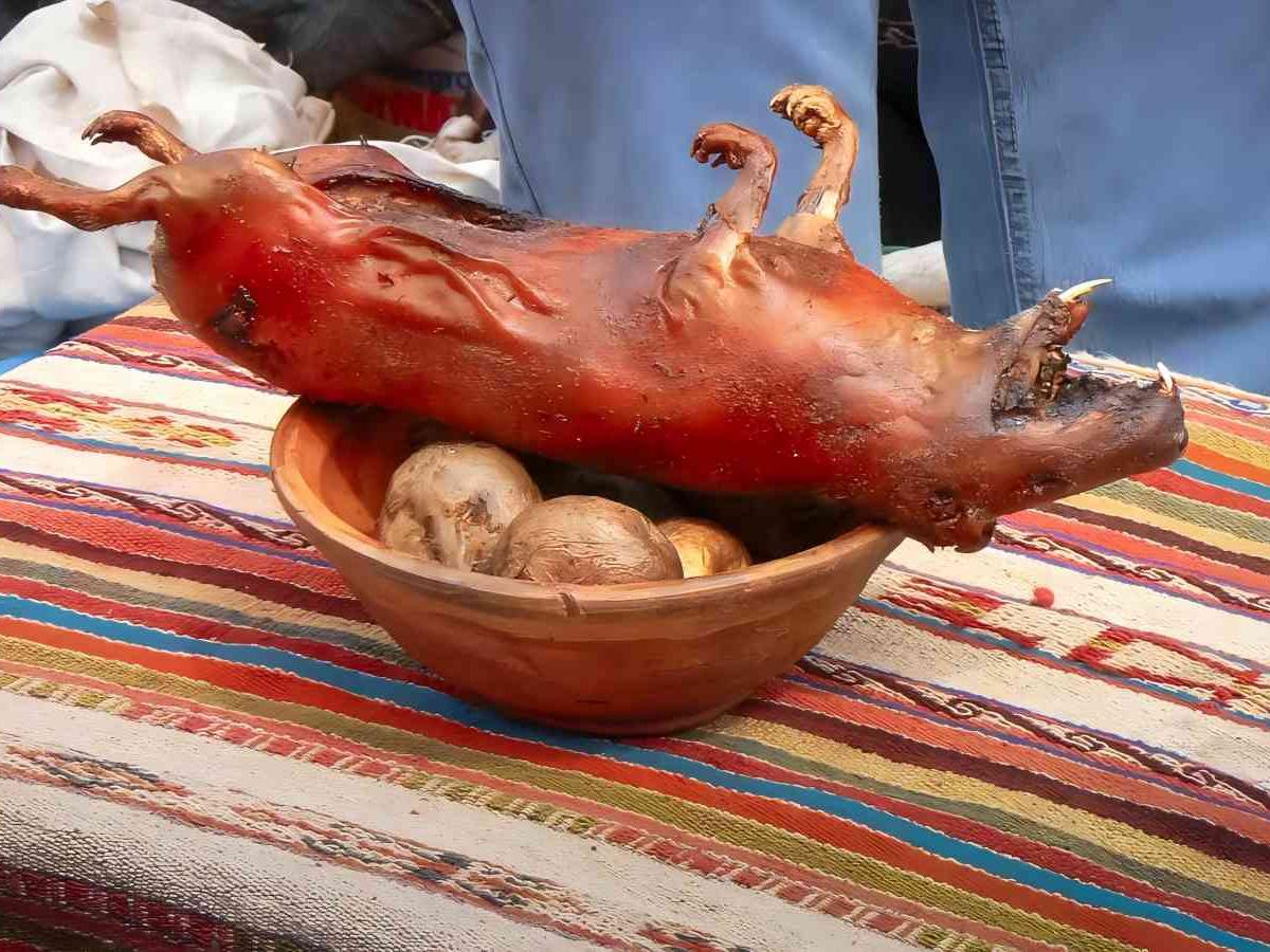 Gastronomic experiences