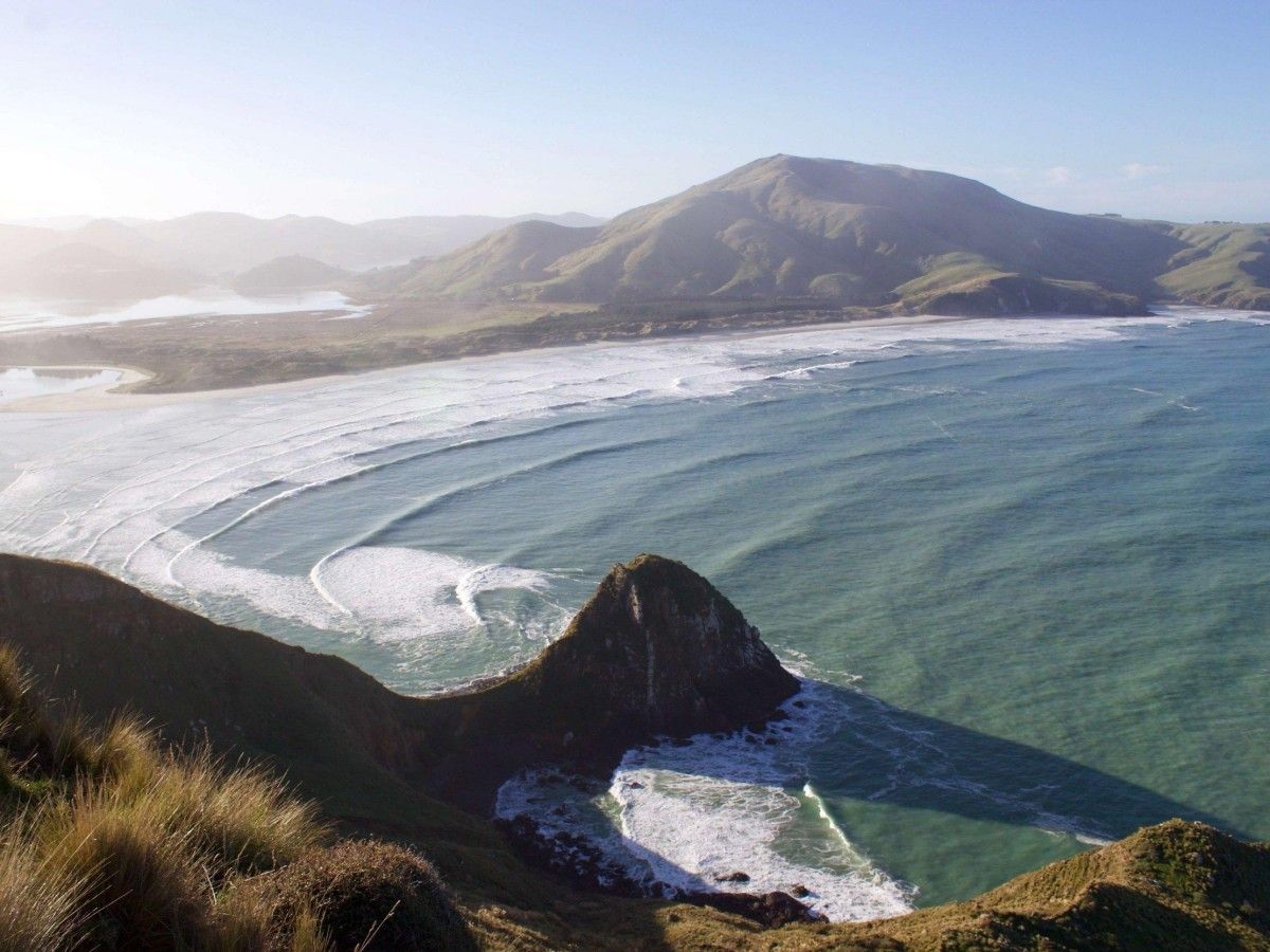The unique charm of the Otago Peninsula