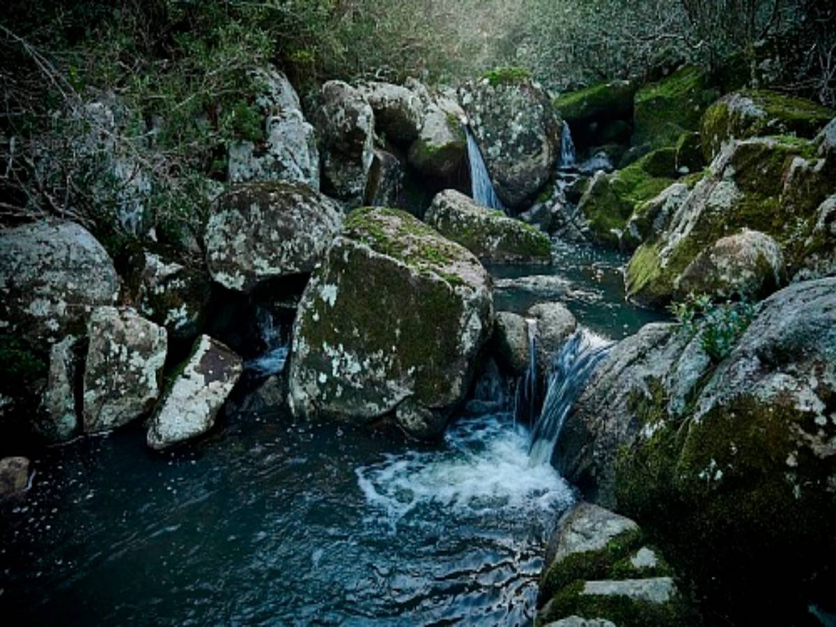 Cascada de Agua Clara one-day tour guide