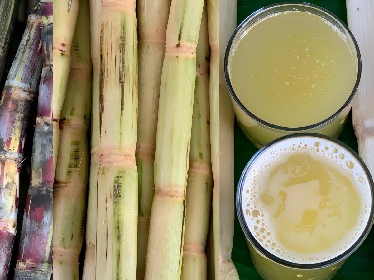 Experience local specialty drinks