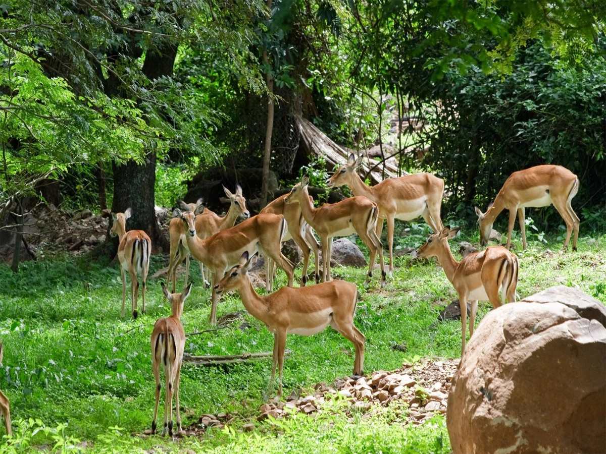 Animal behavior: Best timetable for interaction