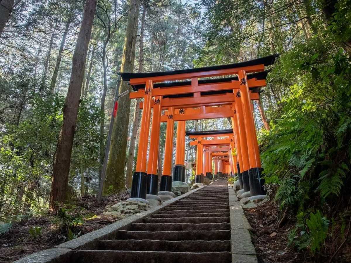 Why is Fushimi Inari Taisha famous?