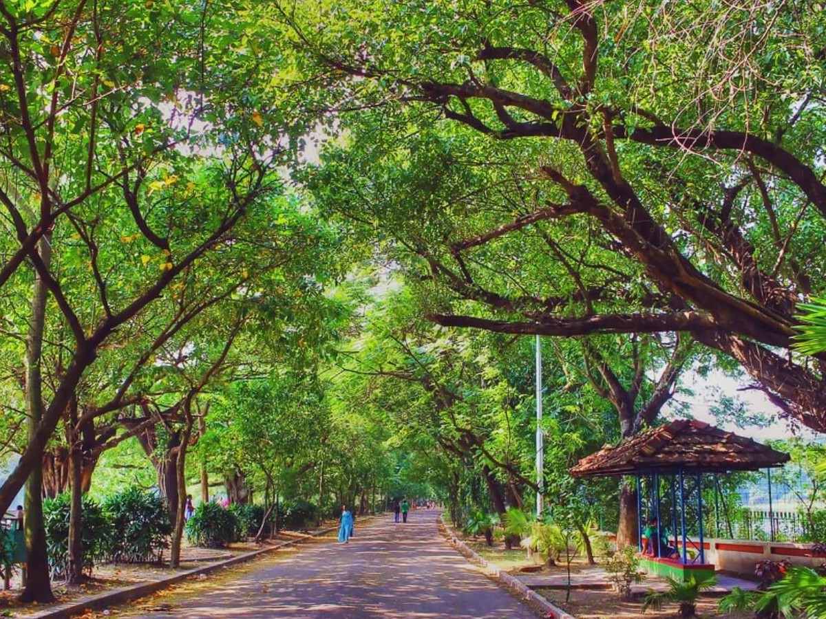 Nature, History, and Culture