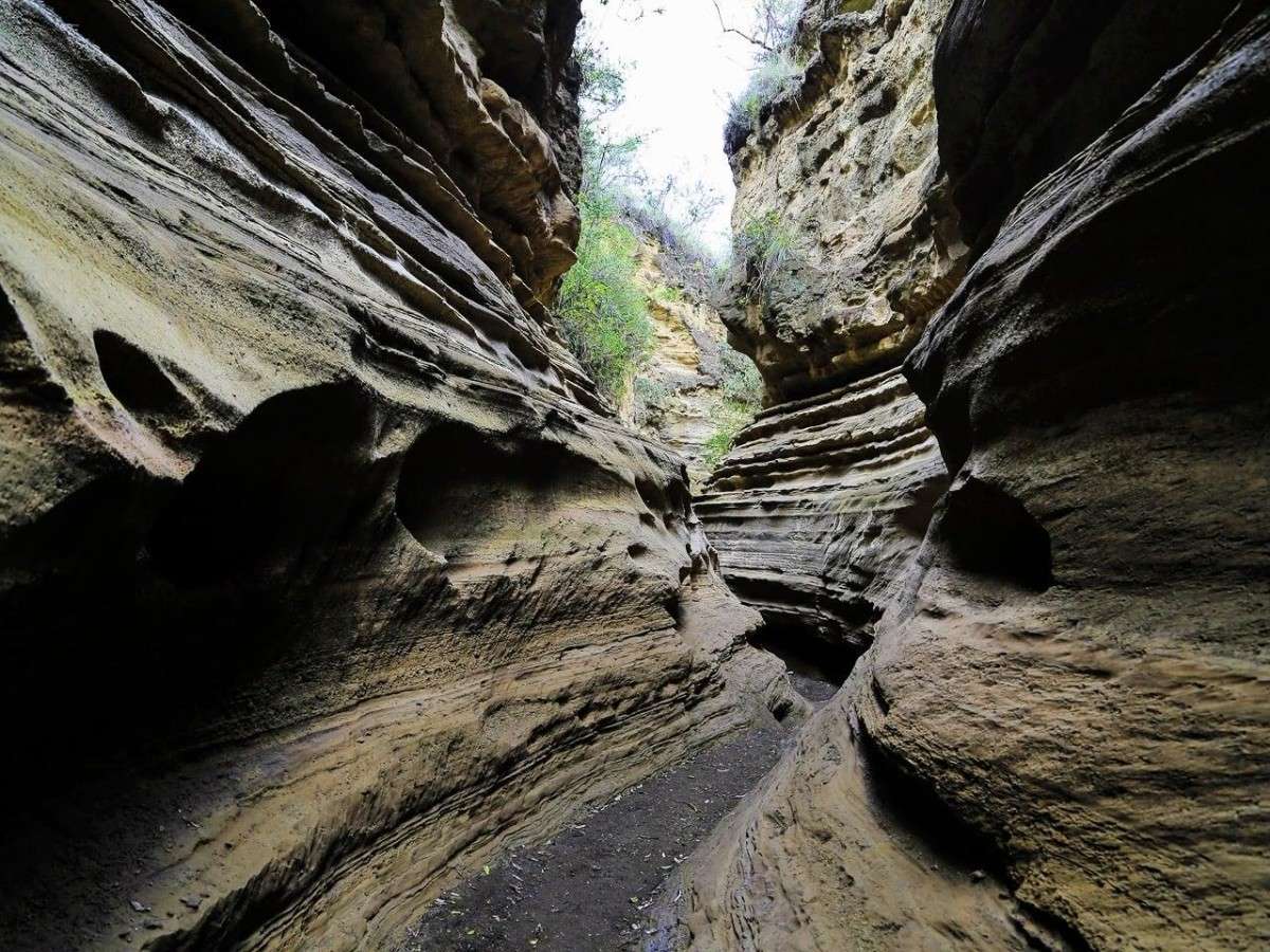 A canyon history that's more exciting than a Hollywood screenplay
