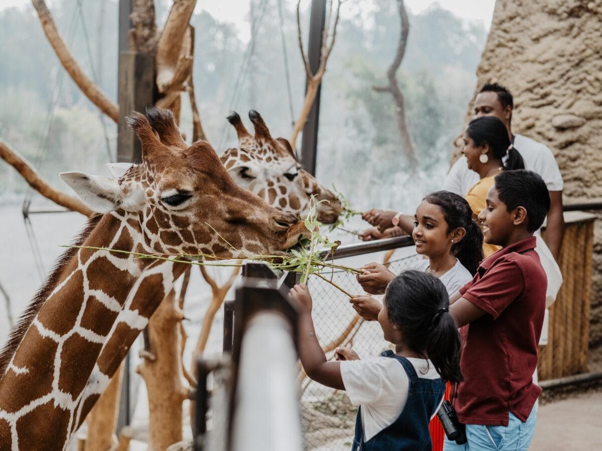 Raising awareness of conservation and deeply rooted in people's hearts