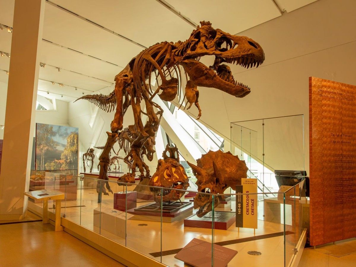 Exhibits