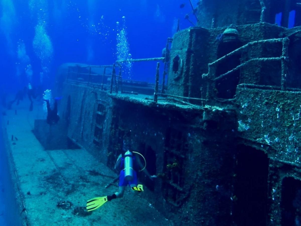 The best dive sites to visit in Long Island