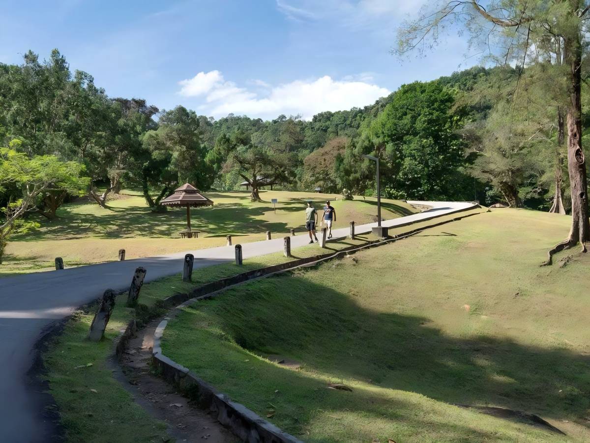 The Natural Charm of Penang Botanic Gardens