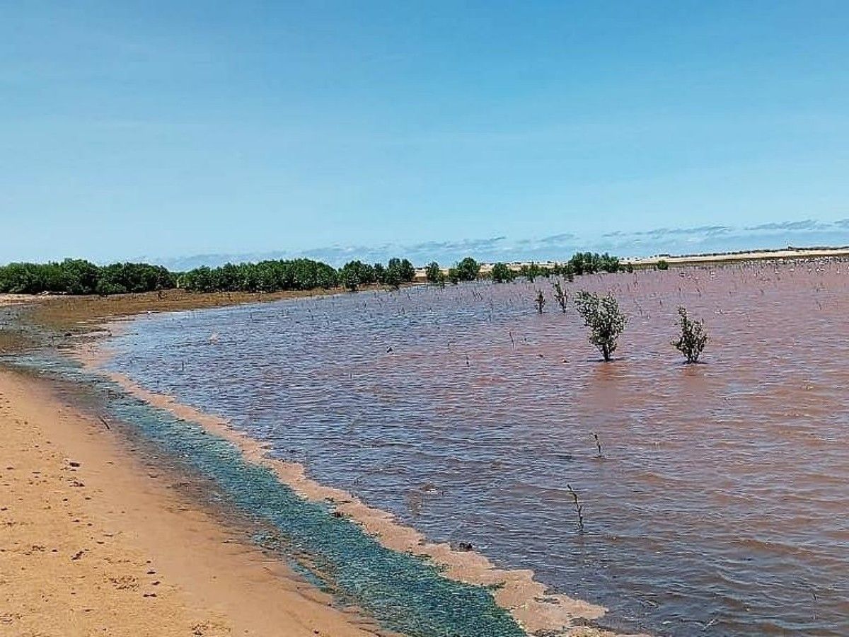[Play method 1] Hiking exploration-discover another world between sandbars and wetlands