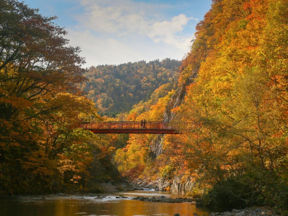 The third stop: a romantic walk to experience the charm of the four seasons