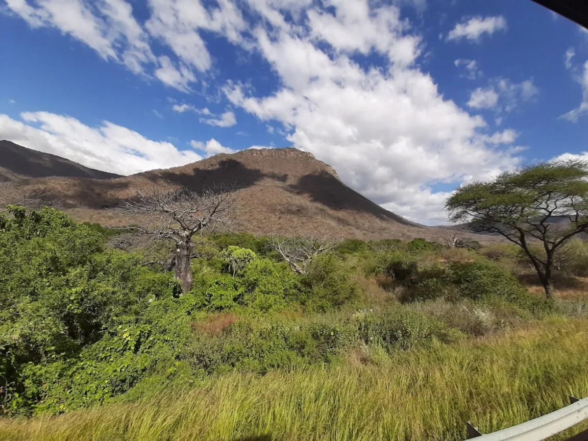4. Experiences not to be missed: Close contact with nature