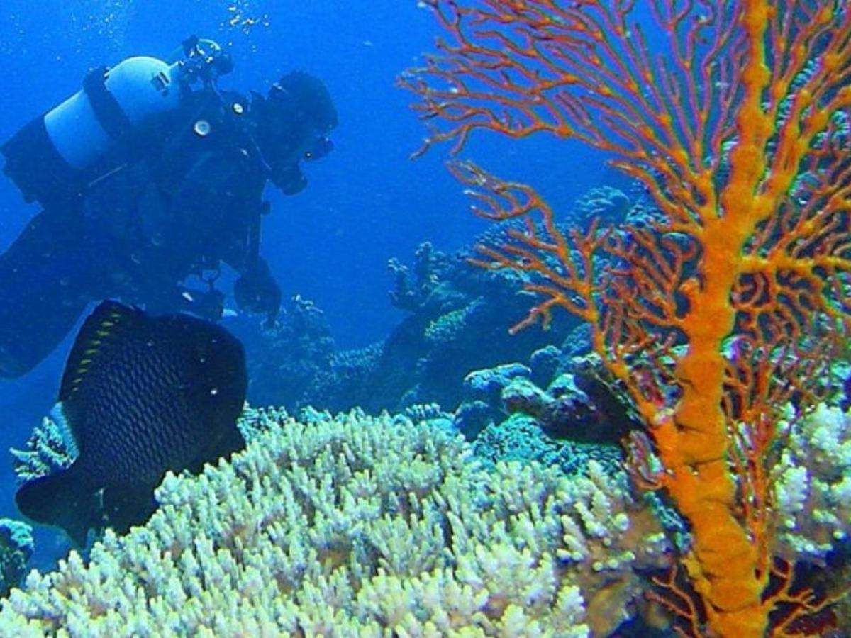 A quiet secret place among natural reefs