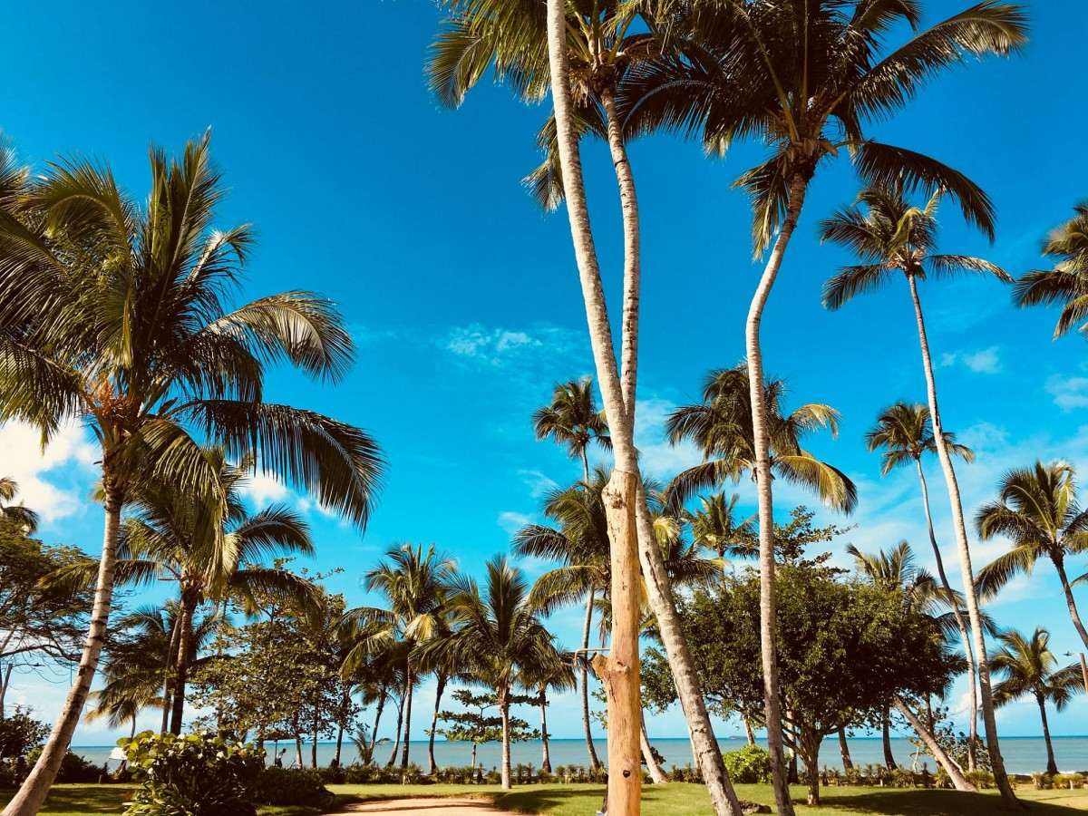 Ideal travel season and climate