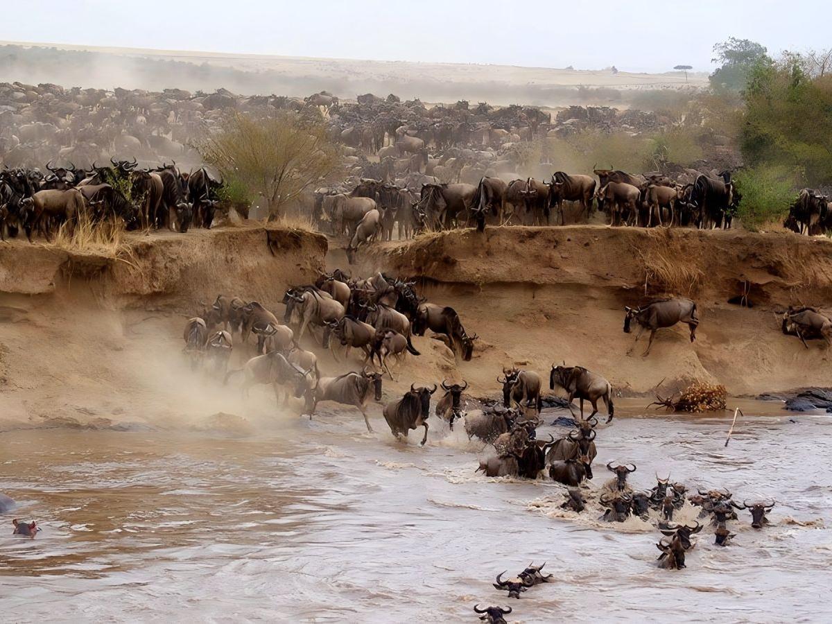 Know when the migration takes place