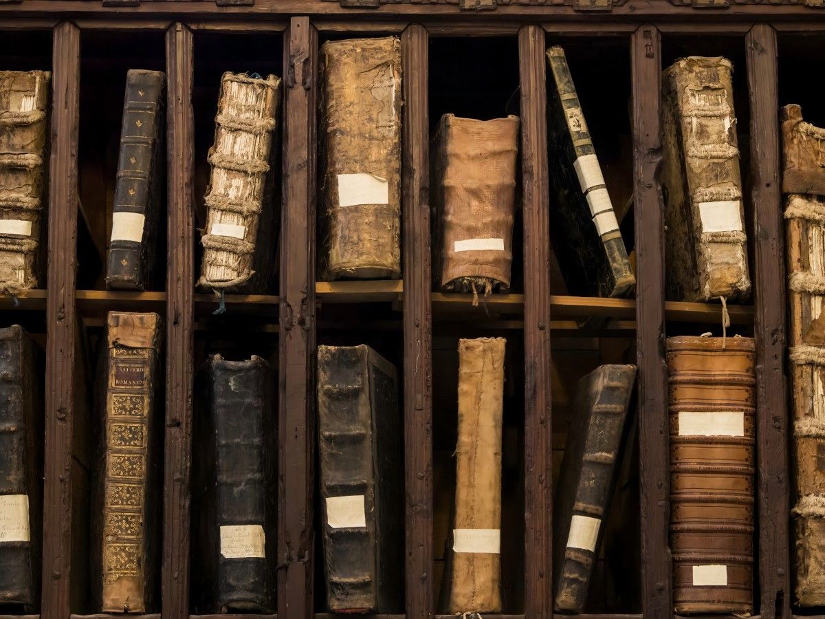 The Library