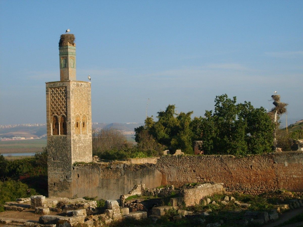 Civilization puzzle in the folds of history