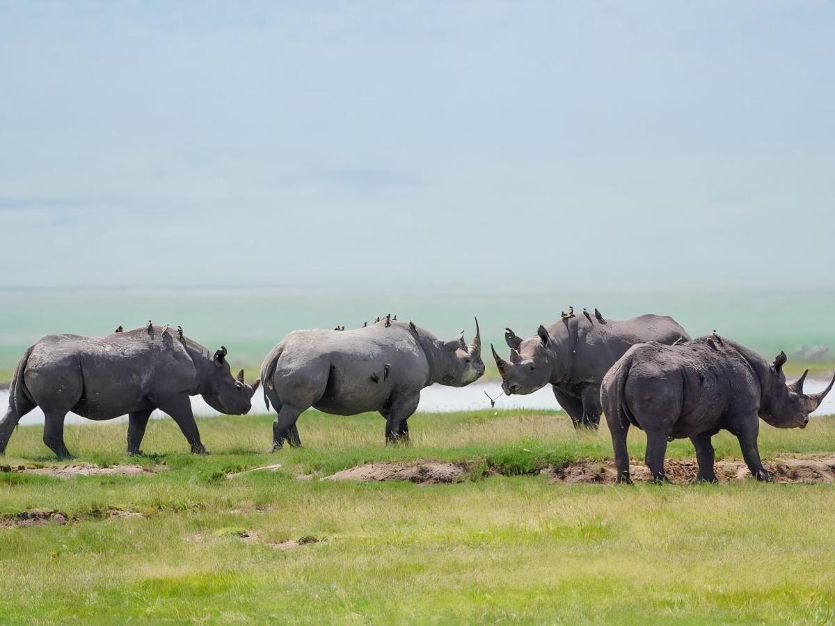 Wildlife Spectacular: Getting up close and personal with nature's sprites