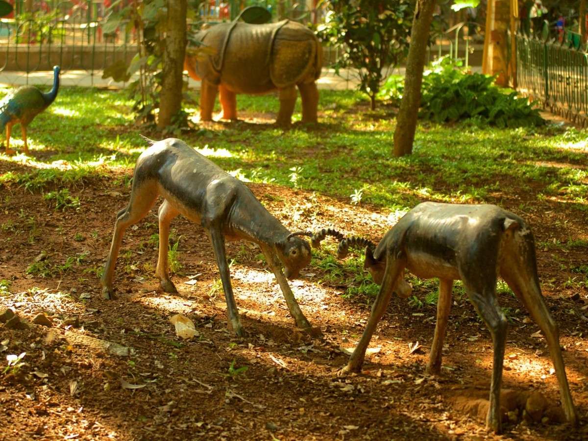 Cultural events and festivals: This is more than just a park
