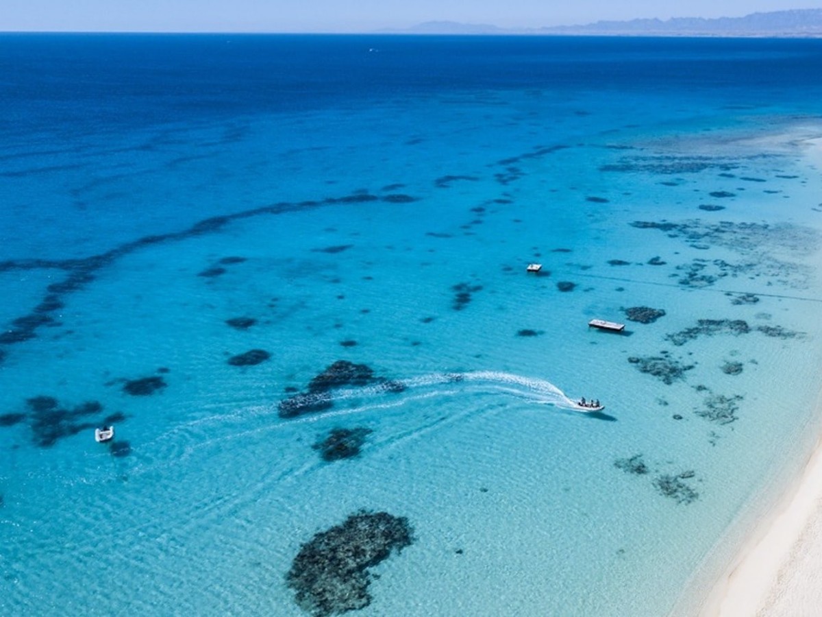 The unknown "Island Owner's Rules"