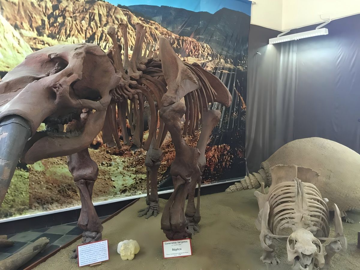 Reappearance of dinosaur bones: relics of the ancient world