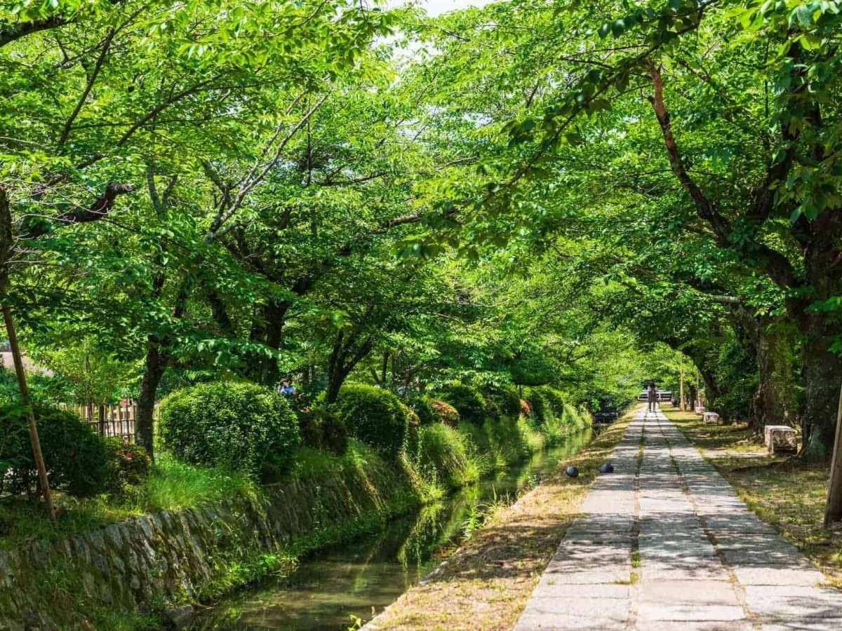 1. Introduction to Philosopher's Path: Kyoto's Soul Path
