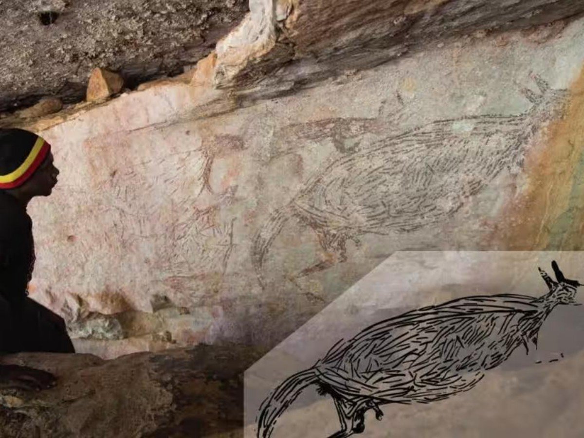 Exploring the site: the three core highlights of the Tarn rock paintings