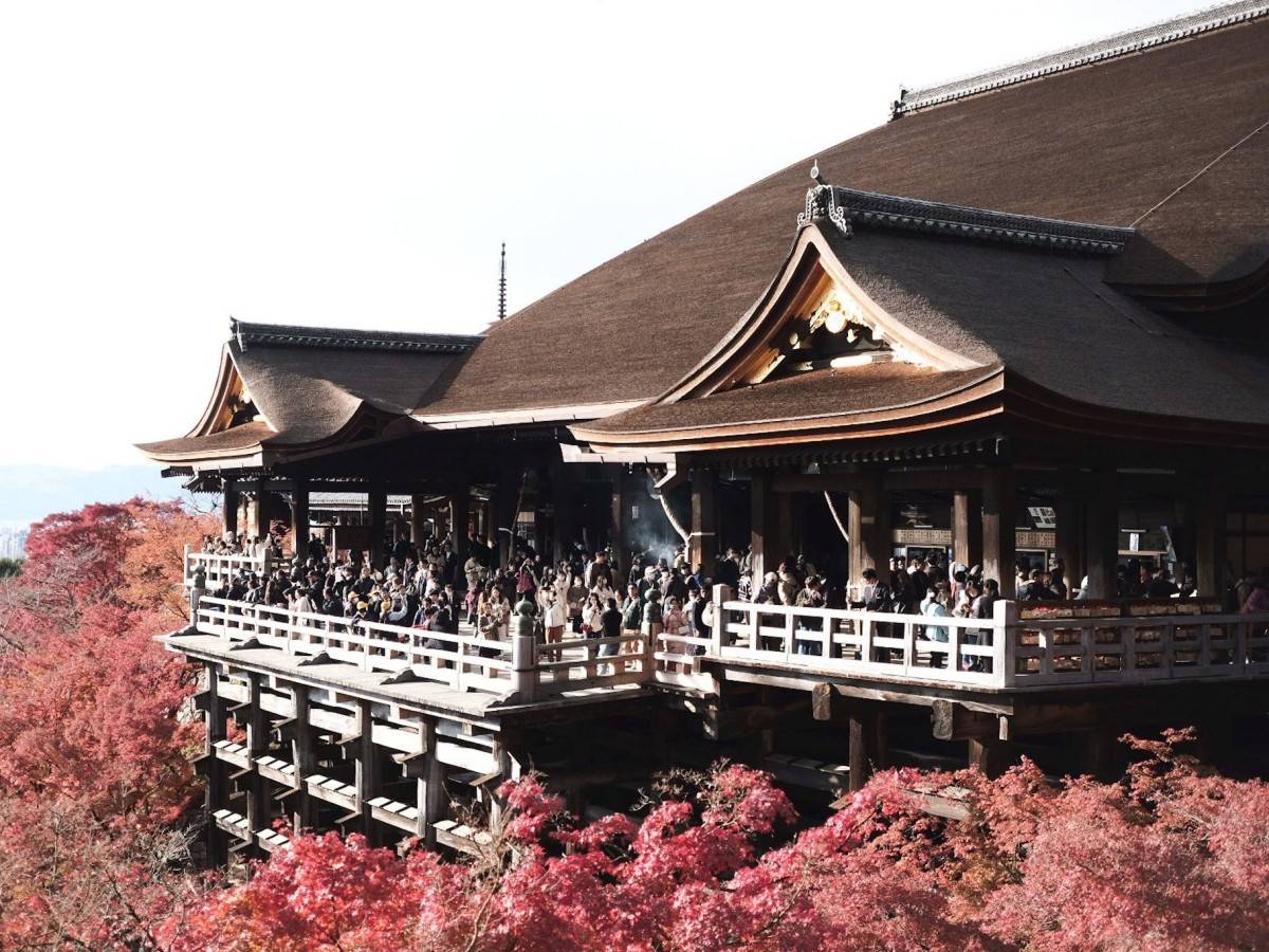 Enjoy the beauty of the four seasons and appreciate the charm of nature