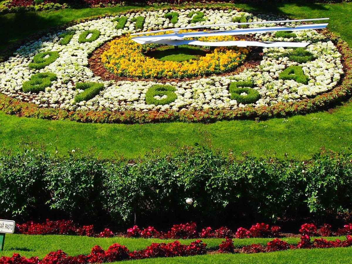 Don't just stand on the front of the flower clock, these angles can be out of the picture and avoid people!